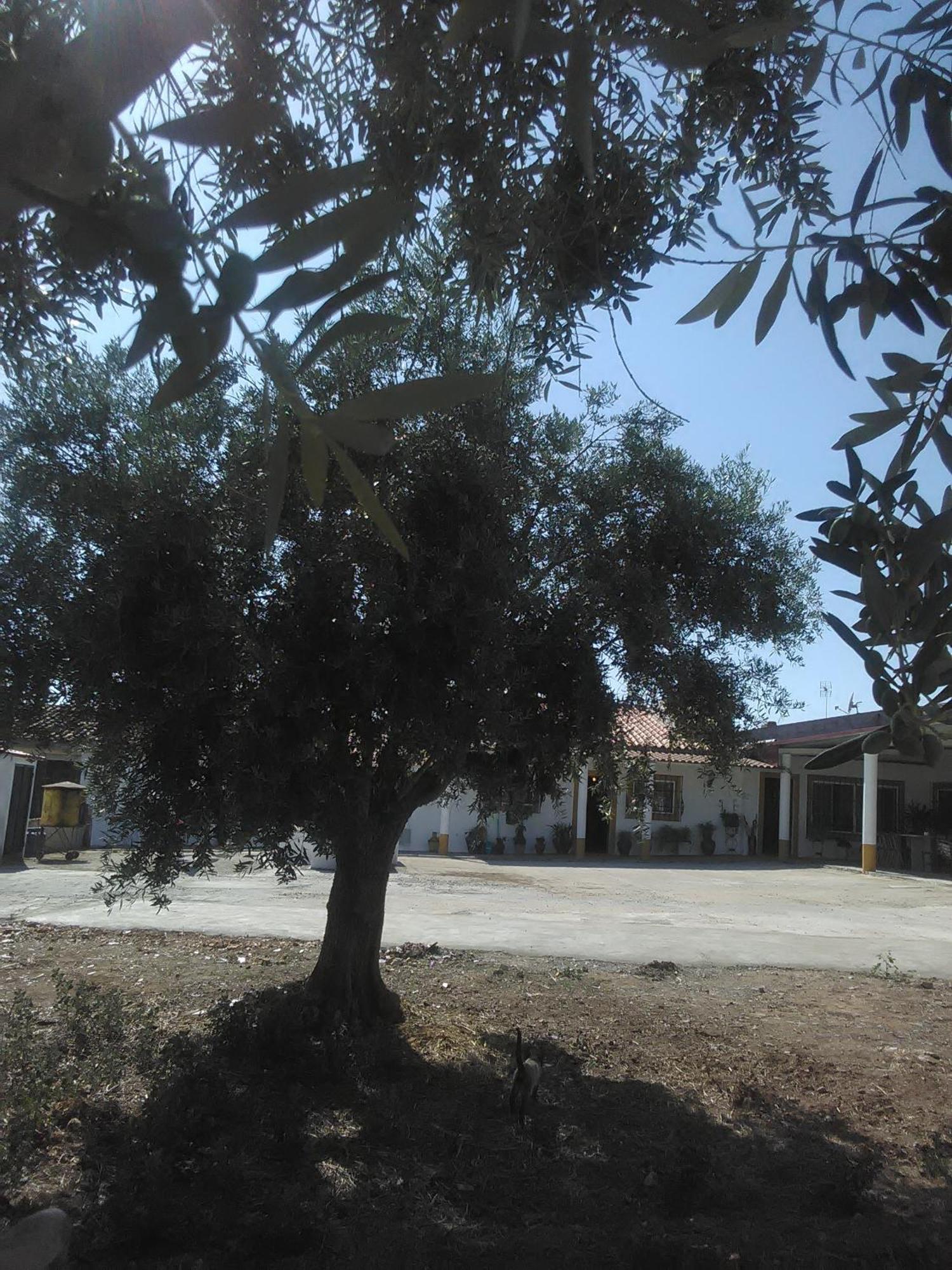 Quintinha Dos Pombinhos Villa Montoito Exterior photo